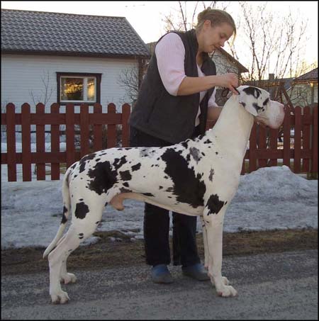 Nasse2008.jpg
